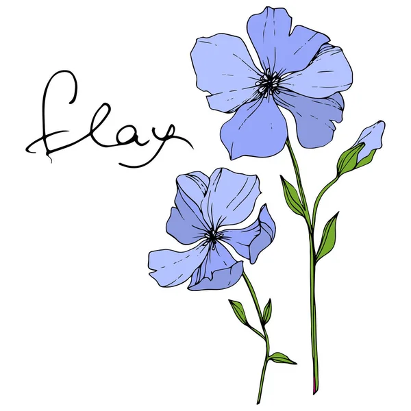 Вектор Блакитний Льон Квіткова Ботанічна Квітка Дикий Весняний Лист Ізольований — стоковий вектор