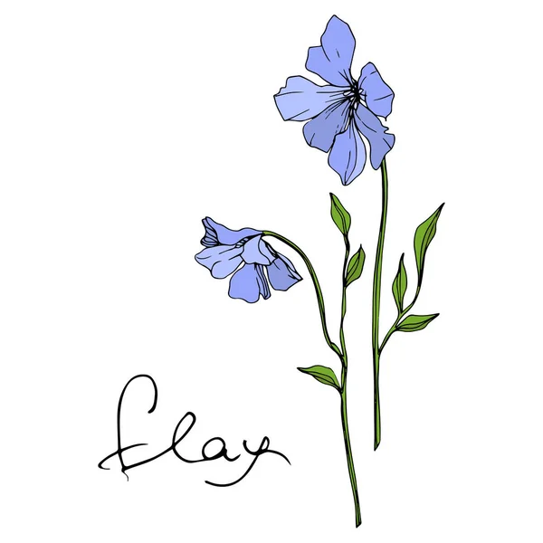 Flor Botánica Floral Vector Blue Flax Flor Silvestre Hoja Primavera — Vector de stock