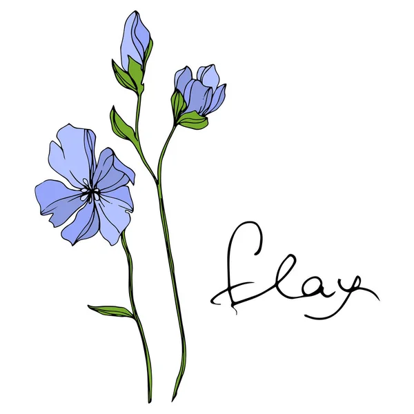 Flor Botânica Floral Vector Blue Flax Folha Selvagem Primavera Wildflower — Vetor de Stock