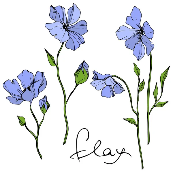 Vector Blue Flax Fleur Botanique Florale Feuille Sauvage Printemps Fleur — Image vectorielle