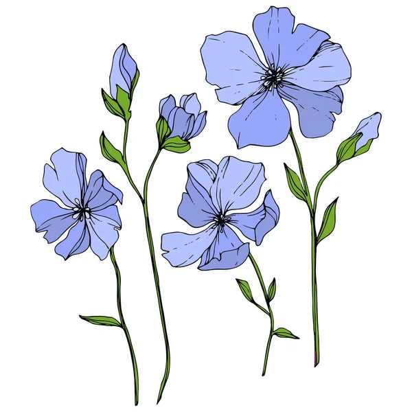 Vector Blauwe Vlas Floral Botanische Bloem Wild Voorjaar Blad Wildflower — Stockvector