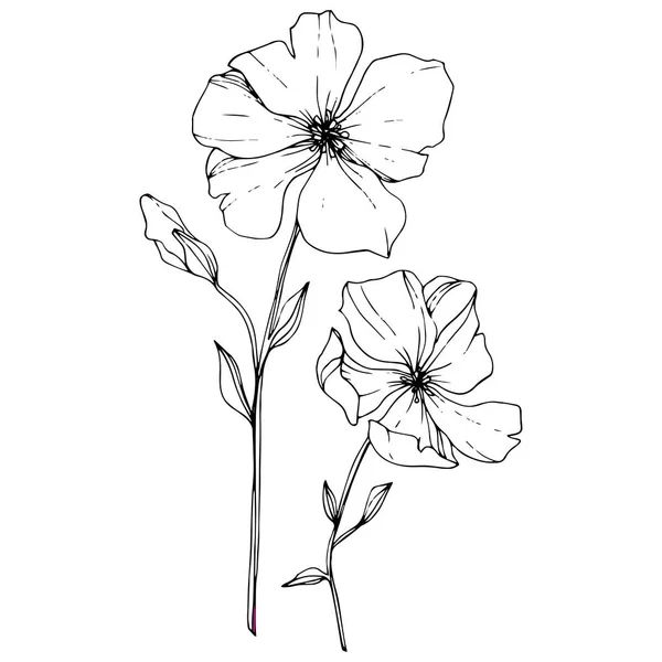 Vector Flax Цветочный Ботанический Цветок Дикий Весенний Цветок Изолирован Черно — стоковый вектор