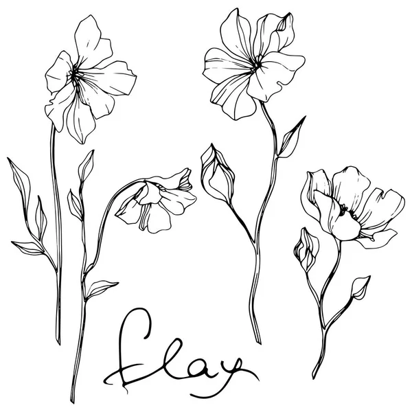 亜麻の花植物花をベクトルします 野生春葉のワイルドフラワーが分離されました 黒と白には アートが刻まれています 白い背景の上の隔離された亜麻図要素 — ストックベクタ