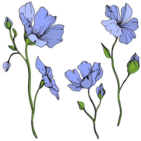 Vector Blue Flax floral botanical flower. Wild spring leaf wildflower isolated. Engraved ink art. Isolated flax illustration element on white background. — Stock Illustration Vector Blue Flax Floral Botanical Flower Wild Spring Leaf Wildflower Royalty Free Stock Vectors
