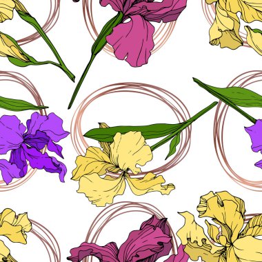 Vektör sarı, mor ve Iris botanik çiçek bordo. Vahşi bahar yaprak izole kır çiçeği. Oyulmuş mürekkep sanat. Sorunsuz arka plan deseni. Kumaş duvar kağıdı yazdırma doku.