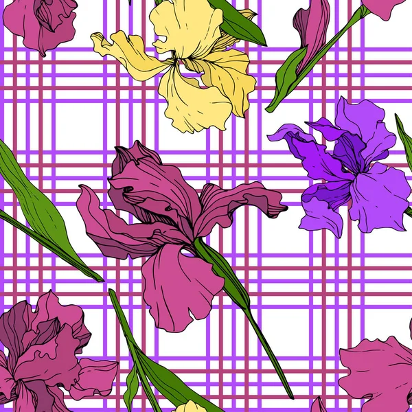 Векторный Ботанический Цветок Ирис Желтый Фиолетовый Мароновый Дикий Весенний Цветок — стоковый вектор