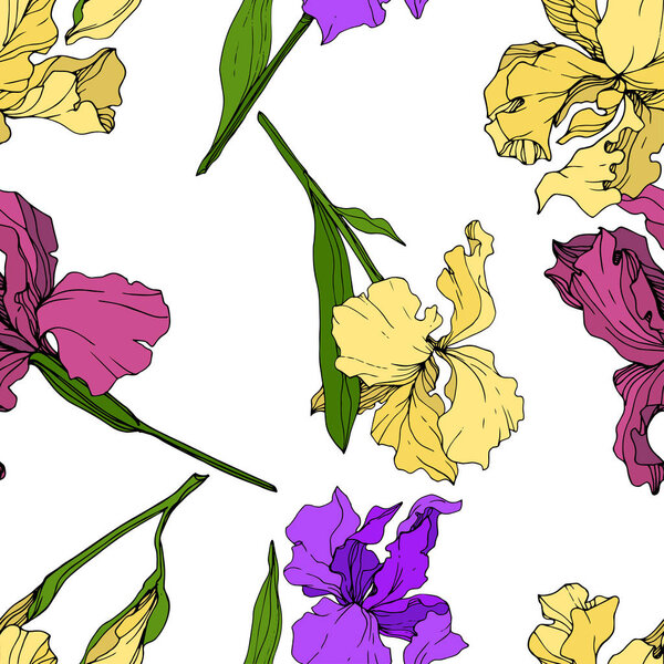 Vector Yellow, purple and maroon Iris floral botanical flower. Wild spring leaf wildflower isolated. Engraved ink art. Seamless background pattern. Fabric wallpaper print texture.