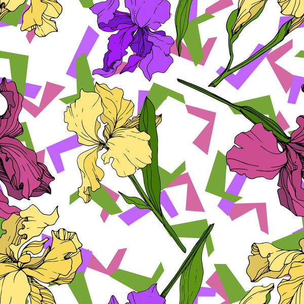 Vector Yellow, purple and maroon Iris floral botanical flower. Wild spring leaf wildflower isolated. Engraved ink art. Seamless background pattern. Fabric wallpaper print texture.