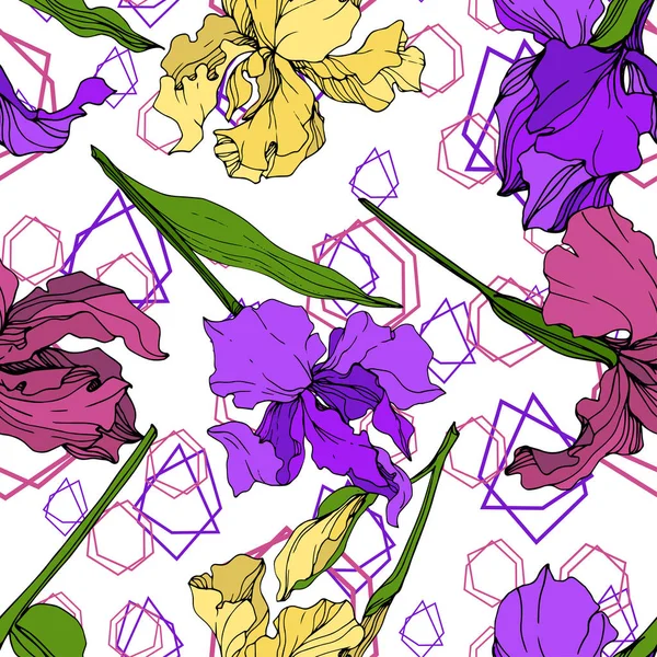 Векторный Ботанический Цветок Ирис Желтый Фиолетовый Мароновый Дикий Весенний Цветок — стоковый вектор