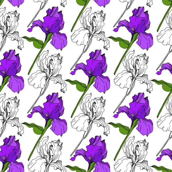 Vector Purple Iris Floral Botanical Flower Flor Silvestre Hoja Primavera — Vector de stock