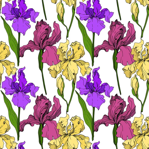 矢量黄色 紫色和栗色虹膜花卉植物花 野生春叶野花分离 雕刻的水墨艺术 无缝的背景模式 织物壁纸打印纹理 — 图库矢量图片