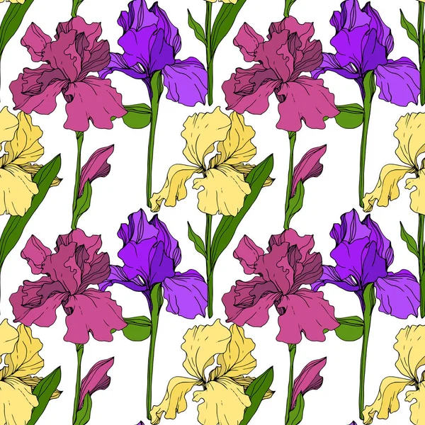 Vetor Amarelo Roxo Marrom Iris Flor Botânica Floral Folha Selvagem —  Vetores de Stock