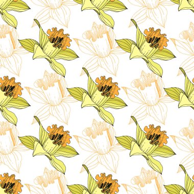 Vektör sarı nergis botanik çiçek. Vahşi bahar yaprak izole kır çiçeği. Oyulmuş mürekkep sanat. Sorunsuz arka plan deseni. Kumaş duvar kağıdı yazdırma doku.