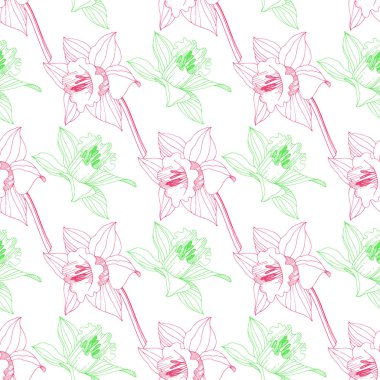 Vektör Narcissus botanik çiçek. Vahşi bahar yaprak izole kır çiçeği. Pembe ve yeşil mürekkep sanat kazınmış. Sorunsuz arka plan deseni. Kumaş duvar kağıdı yazdırma doku.