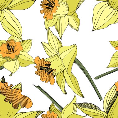 Vektör sarı nergis botanik çiçek. Vahşi bahar yaprak izole kır çiçeği. Oyulmuş mürekkep sanat. Sorunsuz arka plan deseni. Kumaş duvar kağıdı yazdırma doku.