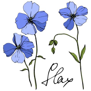 Vector Blue Flax floral botanical flower. Wild spring leaf wildflower isolated. Engraved ink art. Isolated flax illustration element on white background. clipart