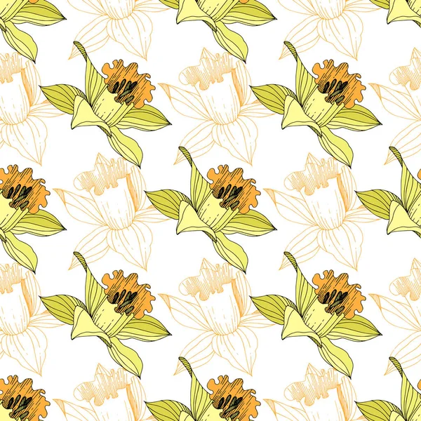 Vector Galben Narcissus Floare Botanică Florală Frunze Sălbatice Primăvară Izolate — Vector de stoc