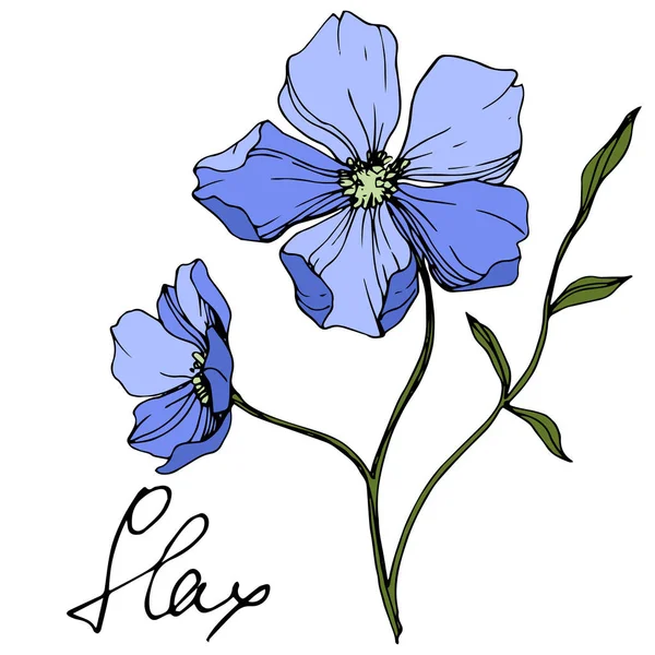 Vector Blue Flax Fleur Botanique Florale Feuille Sauvage Printemps Fleur — Image vectorielle