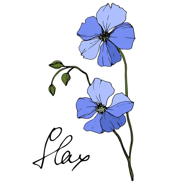 Flor Botánica Floral Vector Blue Flax Flor Silvestre Hoja Primavera — Vector de stock