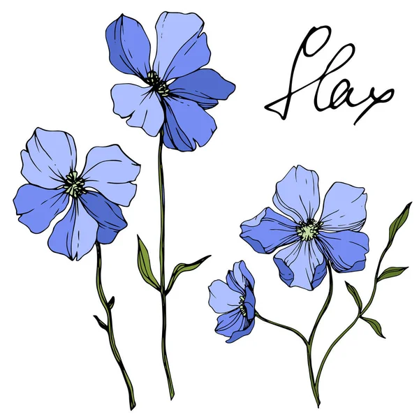 Vector Blue Flax Fleur Botanique Florale Feuille Sauvage Printemps Fleur — Image vectorielle