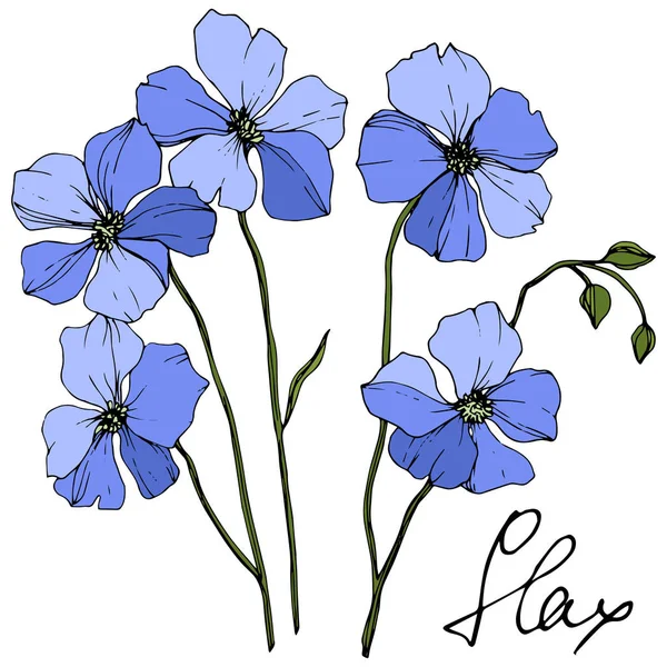 Vector Blue Flax Fleur Botanique Florale Feuille Sauvage Printemps Fleur — Image vectorielle