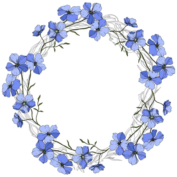 Vector Blue Flax floral botanical flower on white background. Wild spring leaf wildflower isolated. Engraved ink art. Frame border ornament square. — Stock Illustration Vector Blue Flax Floral Botanical Flower White Background Wild Spring Stock Illustration