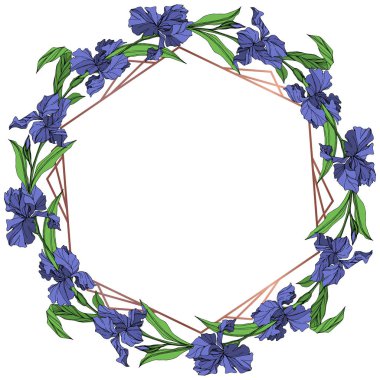 Vektör mavi iris botanik çiçek beyaz arka plan üzerinde. Vahşi bahar yaprak izole kır çiçeği. Mavi ve yeşil mürekkep sanat kazınmış. Çerçeve kenarlığı süsleme Meydanı.