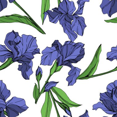 Vektör mavi iris botanik çiçek. Vahşi bahar yaprak izole kır çiçeği. Mavi ve yeşil mürekkep sanat kazınmış. Sorunsuz arka plan deseni. Kumaş duvar kağıdı yazdırma doku.