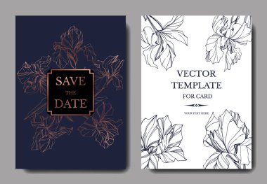 Vektör mavi iris botanik çiçek. Vahşi bahar yaprak izole kır çiçeği. Oyulmuş mürekkep sanat. Düğün arka plan kartı çiçek Dekoratif kenarlık. Zarif kartınız illüstrasyon grafik afiş ayarla.