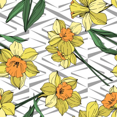 Vektör sarı nergis botanik çiçek. Vahşi bahar yaprak izole kır çiçeği. Oyulmuş mürekkep sanat. Sorunsuz arka plan deseni. Kumaş duvar kağıdı yazdırma doku.