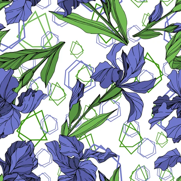 Vektorové Blue Iris Květinové Botanické Květin Divoký Jarní Listové Wildflower — Stockový vektor