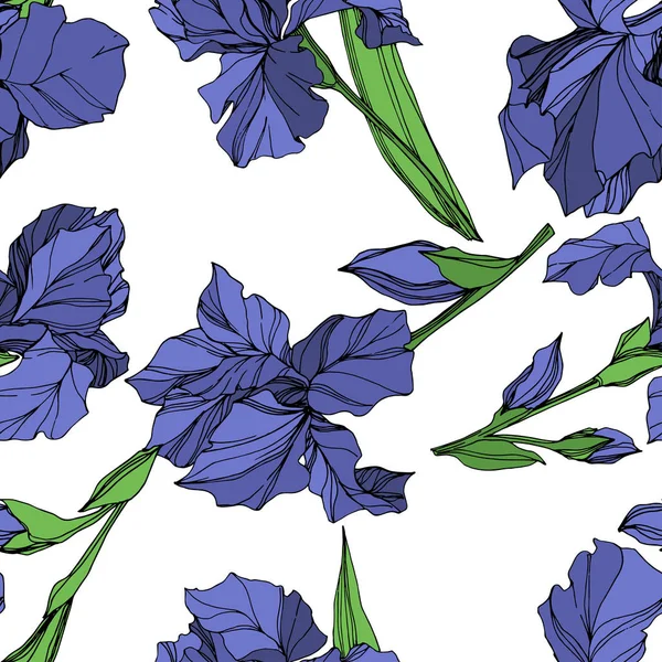 Vector Blue Iris Floral Botanical Flower Wild Spring Leaf Wildflower — Stock Vector