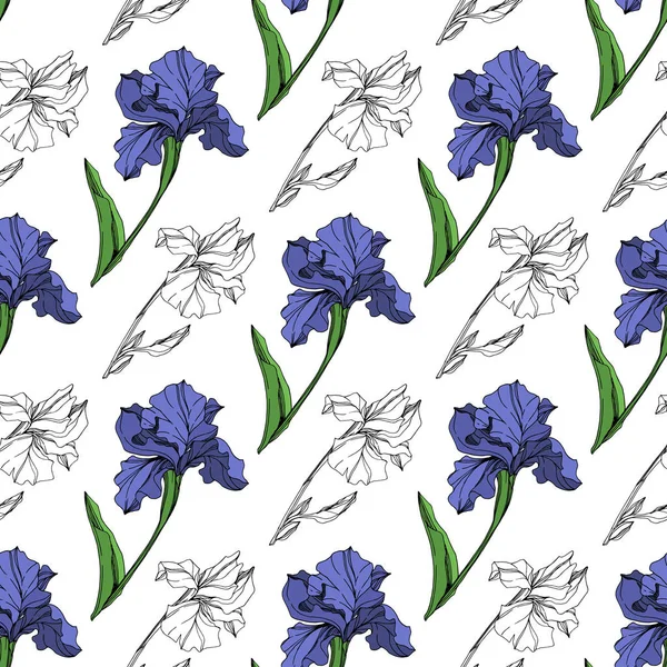 Vector Blue Iris Flor Botánica Floral Flor Silvestre Hoja Primavera — Vector de stock