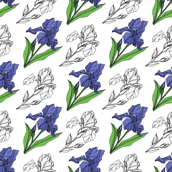 Vector Iris Bleu Fleur Botanique Florale Feuille Sauvage Printemps Fleur — Image vectorielle