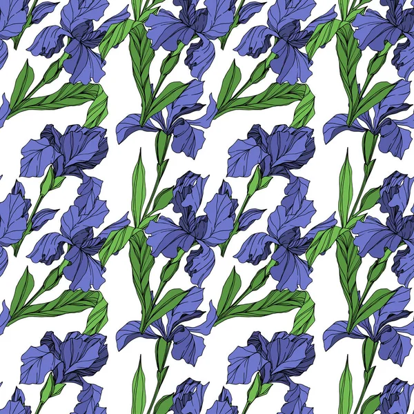 Vector Iris Bleu Fleur Botanique Florale Feuille Sauvage Printemps Fleur — Image vectorielle