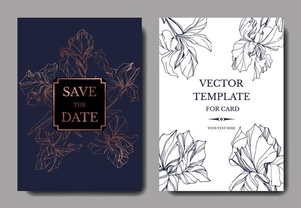 Векторный голубой ирис цветочный ботанический цветок. Дикий весенний цветок изолирован. Гравировка чернил. Свадебная фоновая открытка цветочные декоративные границы. Элегантный графический баннер
.