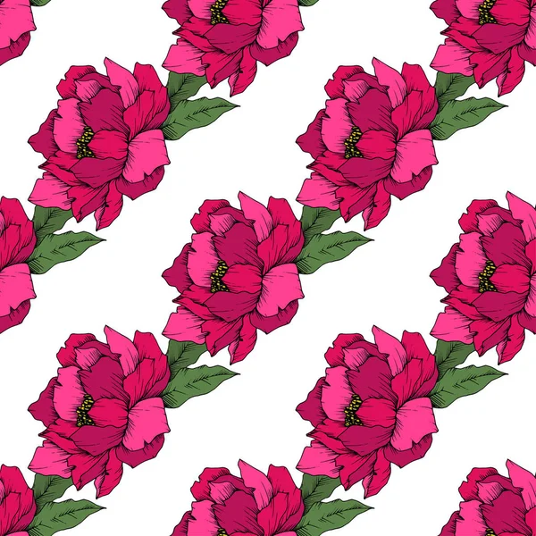 Vector Peony Floral Botanische Bloem Wild Voorjaar Blad Wildflower Geïsoleerd — Stockvector