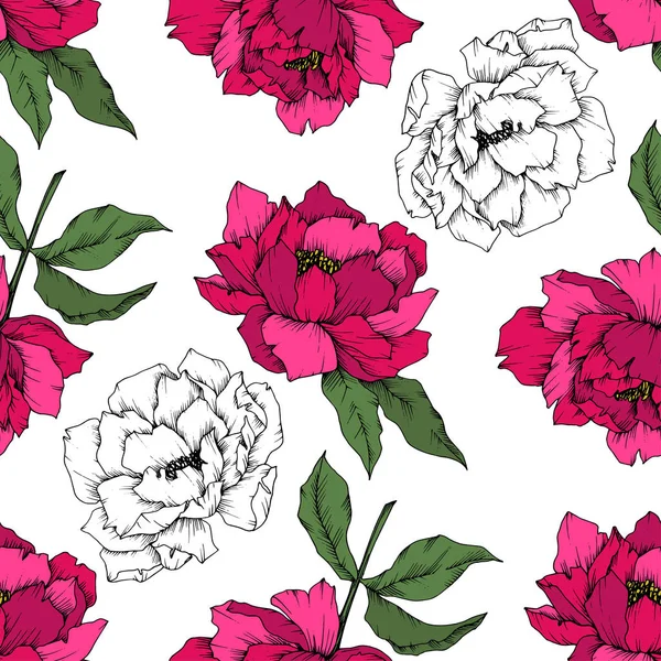 Векторный Цветочный Ботанический Цветок Пиона Дикий Весенний Цветок Изолирован Гравировка — стоковый вектор
