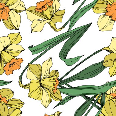 Vektör sarı nergis botanik çiçek. Vahşi bahar yaprak izole kır çiçeği. Oyulmuş mürekkep sanat. Sorunsuz arka plan deseni. Kumaş duvar kağıdı yazdırma doku.