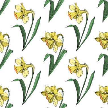 Vektör sarı nergis botanik çiçek. Vahşi bahar yaprak izole kır çiçeği. Oyulmuş mürekkep sanat. Sorunsuz arka plan deseni. Kumaş duvar kağıdı yazdırma doku.
