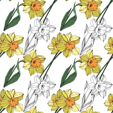 Vektör sarı nergis botanik çiçek. Vahşi bahar yaprak izole kır çiçeği. Oyulmuş mürekkep sanat. Sorunsuz arka plan deseni. Kumaş duvar kağıdı yazdırma doku.