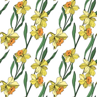 Vektör sarı nergis botanik çiçek. Vahşi bahar yaprak izole kır çiçeği. Oyulmuş mürekkep sanat. Sorunsuz arka plan deseni. Kumaş duvar kağıdı yazdırma doku.