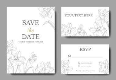 Vector Narcissus floral flower. Wild spring leaf isolated. Black and white engraved ink art. Wedding background card floral decorative border. Elegant card illustration graphic set banner. clipart