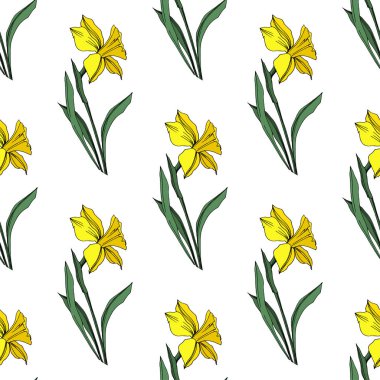 Vektör sarı nergis botanik çiçek. Vahşi bahar yaprak izole kır çiçeği. Oyulmuş mürekkep sanat. Sorunsuz arka plan deseni. Kumaş duvar kağıdı yazdırma doku.