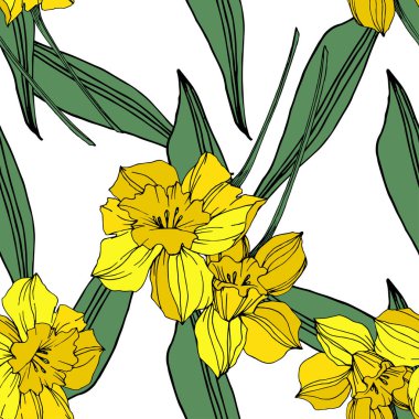 Vektör sarı nergis botanik çiçek. Vahşi bahar yaprak izole kır çiçeği. Oyulmuş mürekkep sanat. Sorunsuz arka plan deseni. Kumaş duvar kağıdı yazdırma doku.