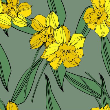 Vektör sarı nergis botanik çiçek. Vahşi bahar yaprak izole kır çiçeği. Oyulmuş mürekkep sanat. Sorunsuz arka plan deseni. Kumaş duvar kağıdı yazdırma doku.