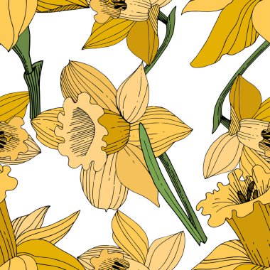Vektör sarı nergis botanik çiçek. Vahşi bahar yaprak izole kır çiçeği. Oyulmuş mürekkep sanat. Sorunsuz arka plan deseni. Kumaş duvar kağıdı yazdırma doku.