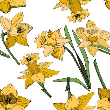 Vektör sarı nergis botanik çiçek. Vahşi bahar yaprak izole kır çiçeği. Oyulmuş mürekkep sanat. Sorunsuz arka plan deseni. Kumaş duvar kağıdı yazdırma doku.