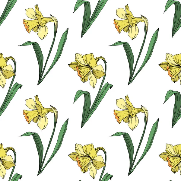 Vektör sarı nergis botanik çiçek. Vahşi bahar yaprak izole kır çiçeği. Oyulmuş mürekkep sanat. Sorunsuz arka plan deseni. Kumaş duvar kağıdı yazdırma doku.