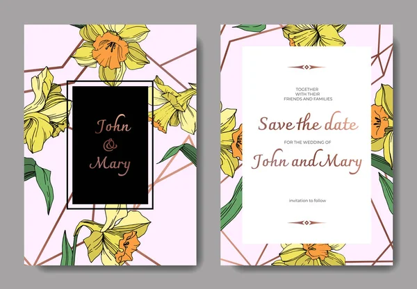 Vektör sarı nergis botanik çiçek. Vahşi bahar yaprak izole. Oyulmuş mürekkep sanat. Düğün arka plan kartı çiçek Dekoratif kenarlık. Zarif kartınız illüstrasyon grafik afiş ayarla.